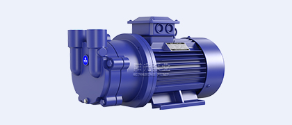 SK型直聯(lián)水環(huán)式真空泵