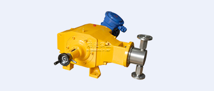 DZ-T型柱塞式計量泵